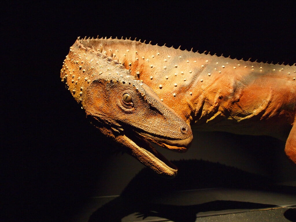 森アーツセンターギャラリーの写真2