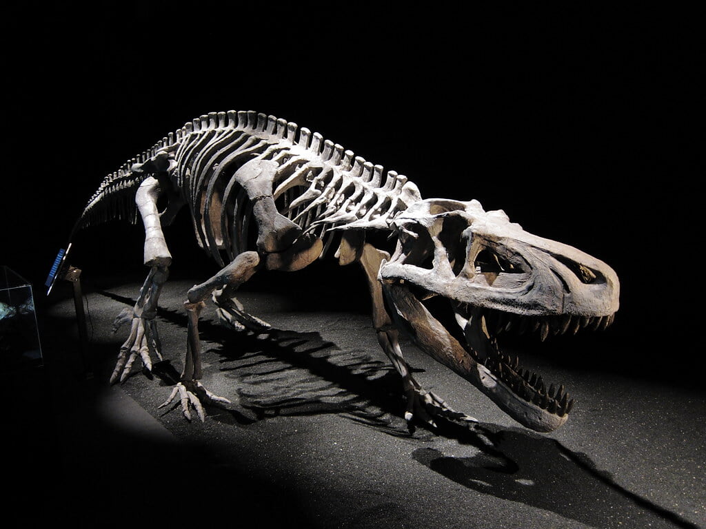 森アーツセンターギャラリーの写真4