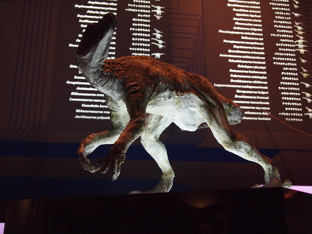 森アーツセンターギャラリーの写真8