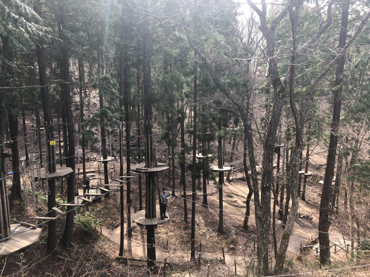 ボウケンノモリ おうじの写真3