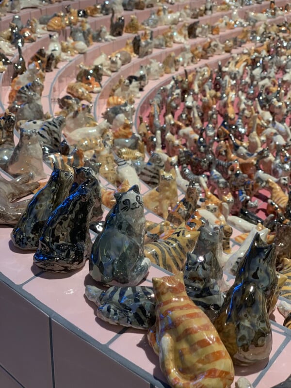 森美術館の写真11