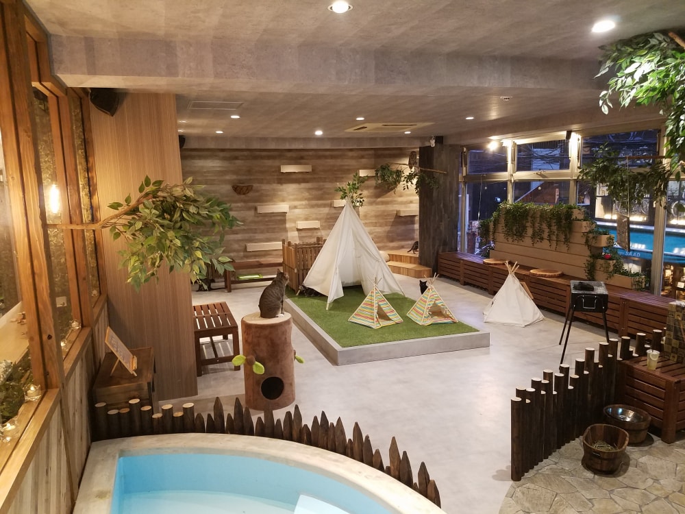 動物たちが暮らす森のカフェ アニミルの写真3