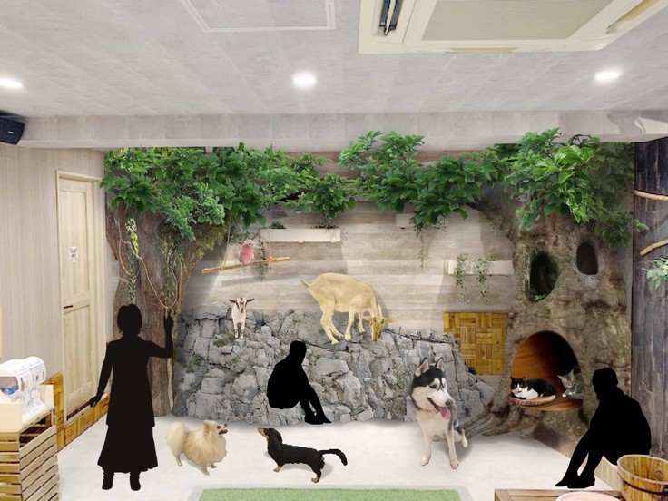 動物たちが暮らす森のカフェ アニミルの写真5