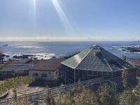 太海フラワーセンター