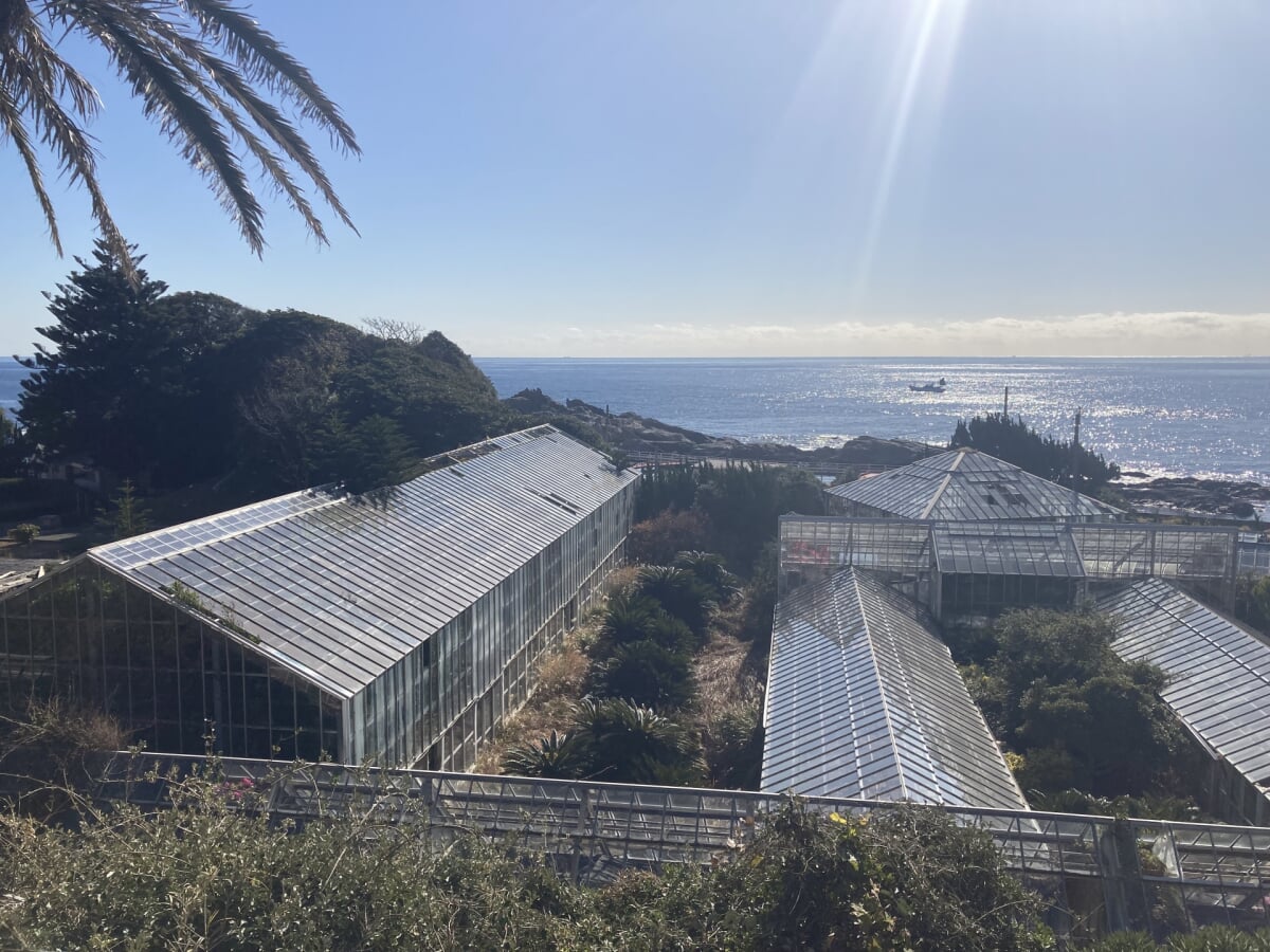 太海フラワーセンターの写真3