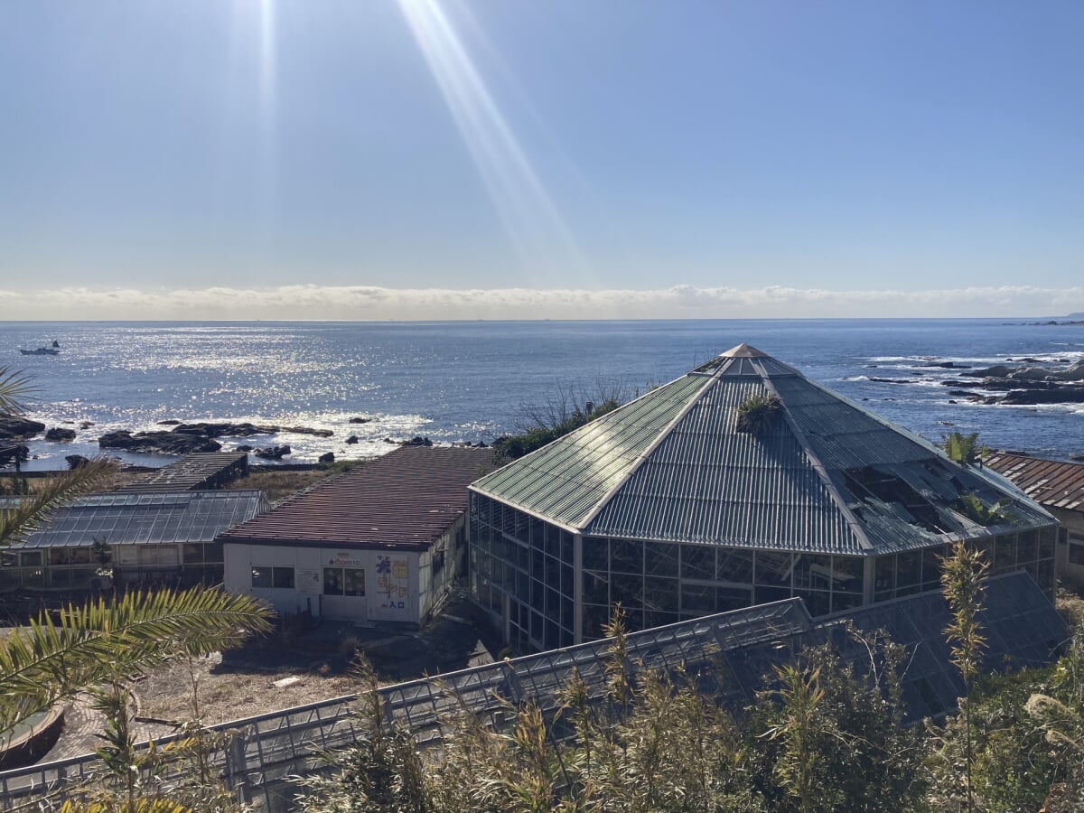 太海フラワーセンターの写真1