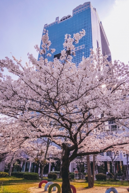 梅田スカイビル・空中庭園展望台の写真3