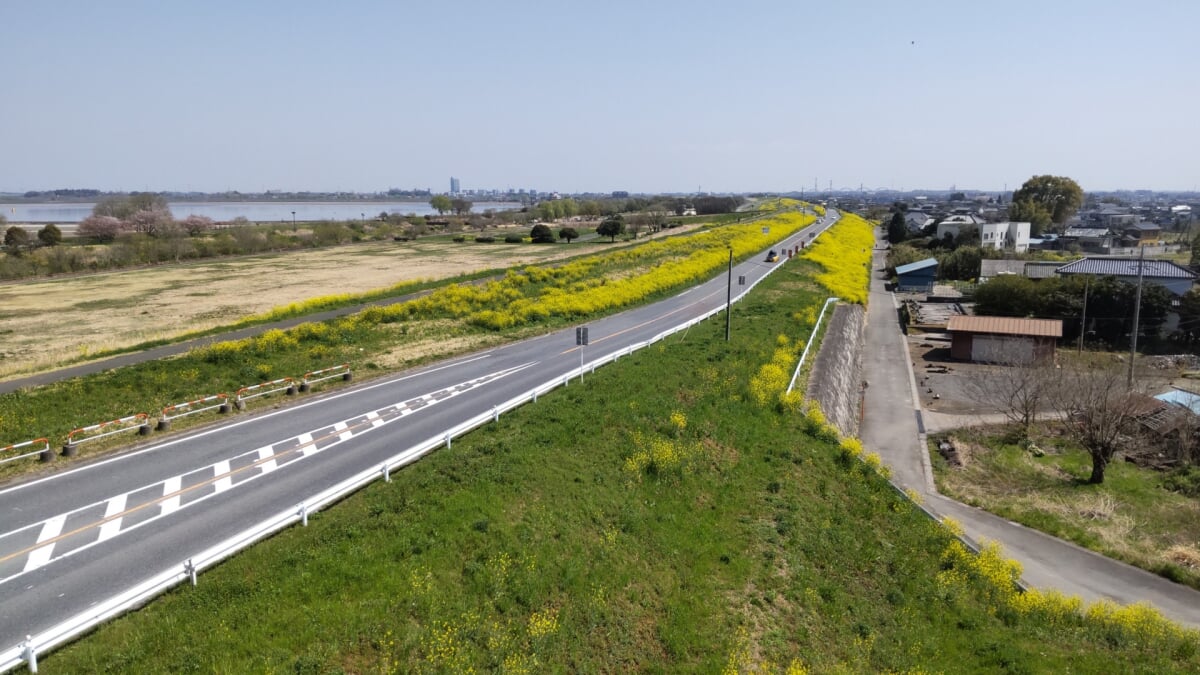 道の駅かぞわたらせの写真3