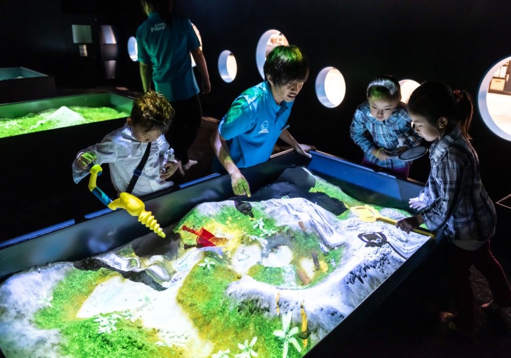 リトルプラネット ららぽーと沼津の写真5