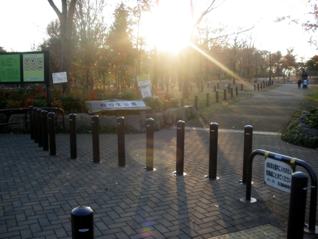 柏の宮公園の写真2