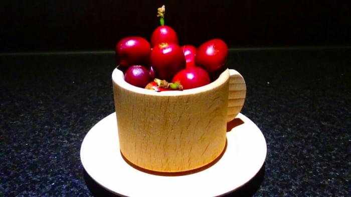 沖縄コーヒー体験農園の写真5