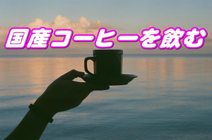 沖縄コーヒー体験農園の写真6
