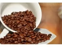 沖縄コーヒー体験農園