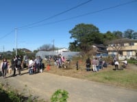 ハイフラワー イチゴ組