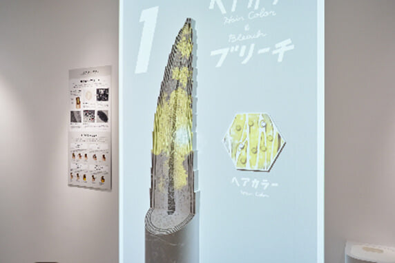 ホーユーヘアカラーミュージアムの写真3