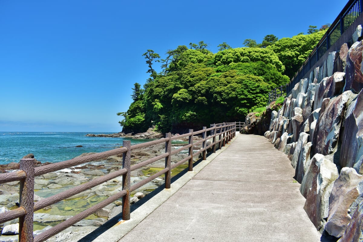 琴ヶ浜海岸の写真1