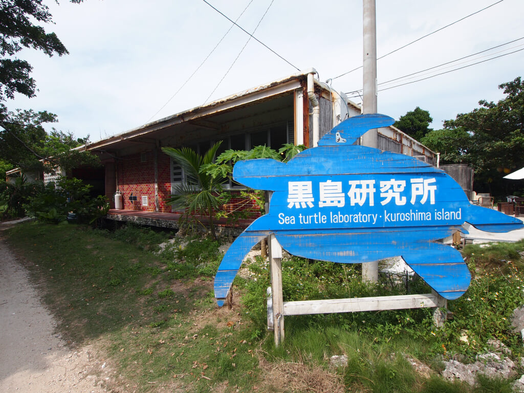 黒島研究所の写真5
