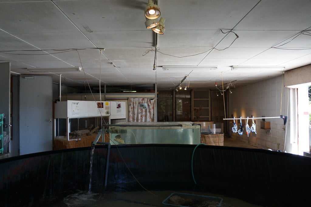 黒島研究所の写真6