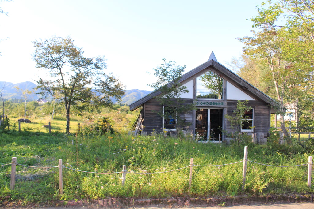 ひるがの湿原植物園の写真1