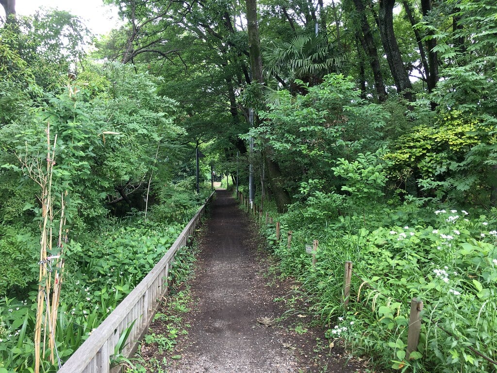 清瀬せせらぎ公園の写真4