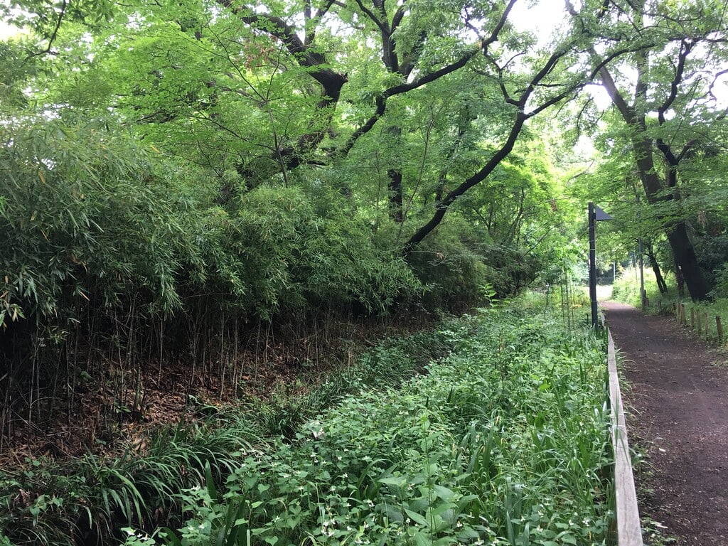 清瀬せせらぎ公園の写真6