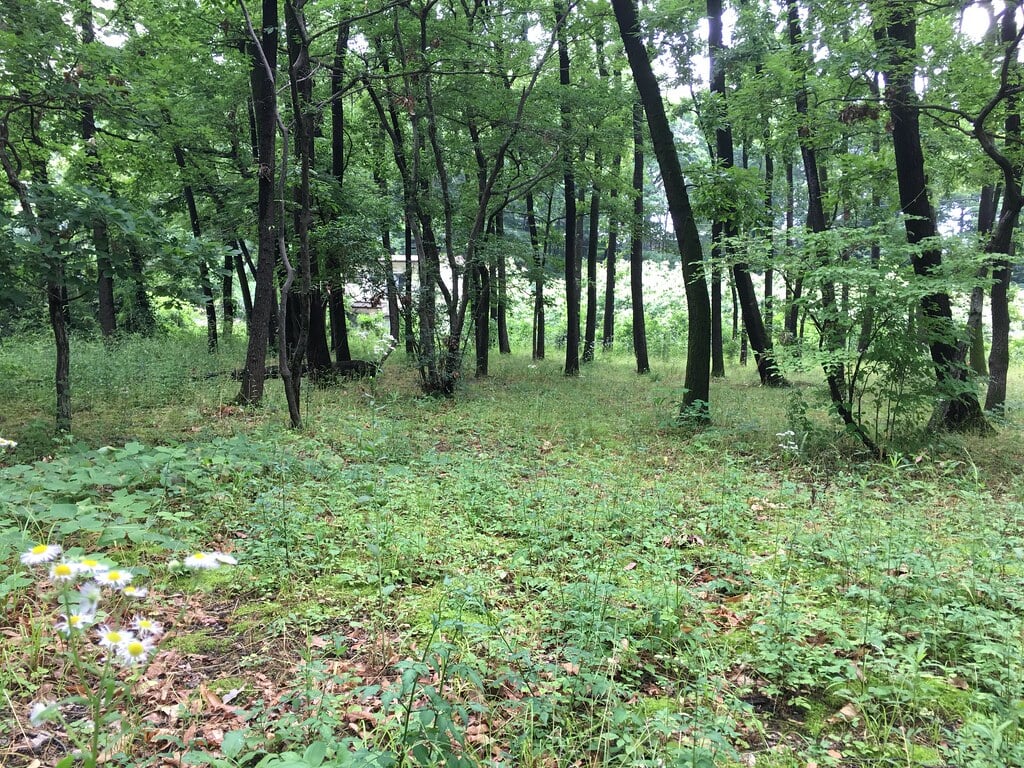 清瀬せせらぎ公園の写真7