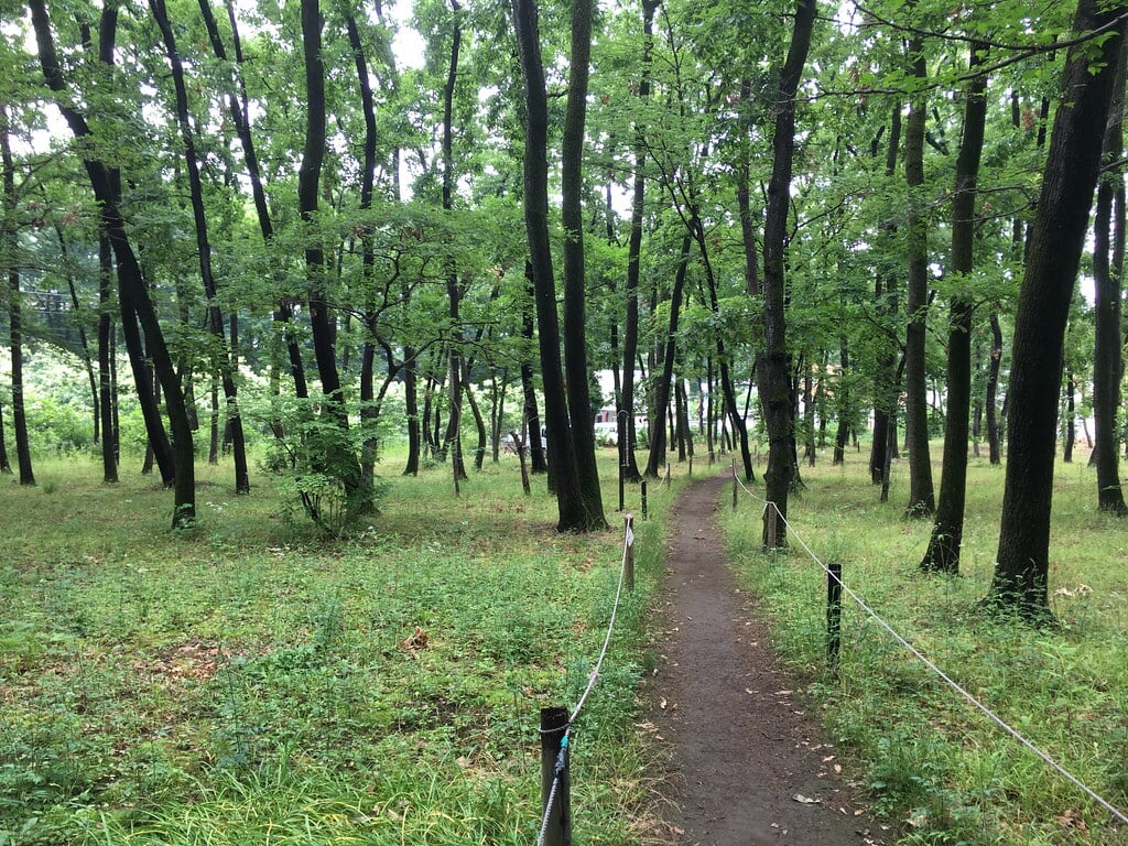 清瀬せせらぎ公園の写真8