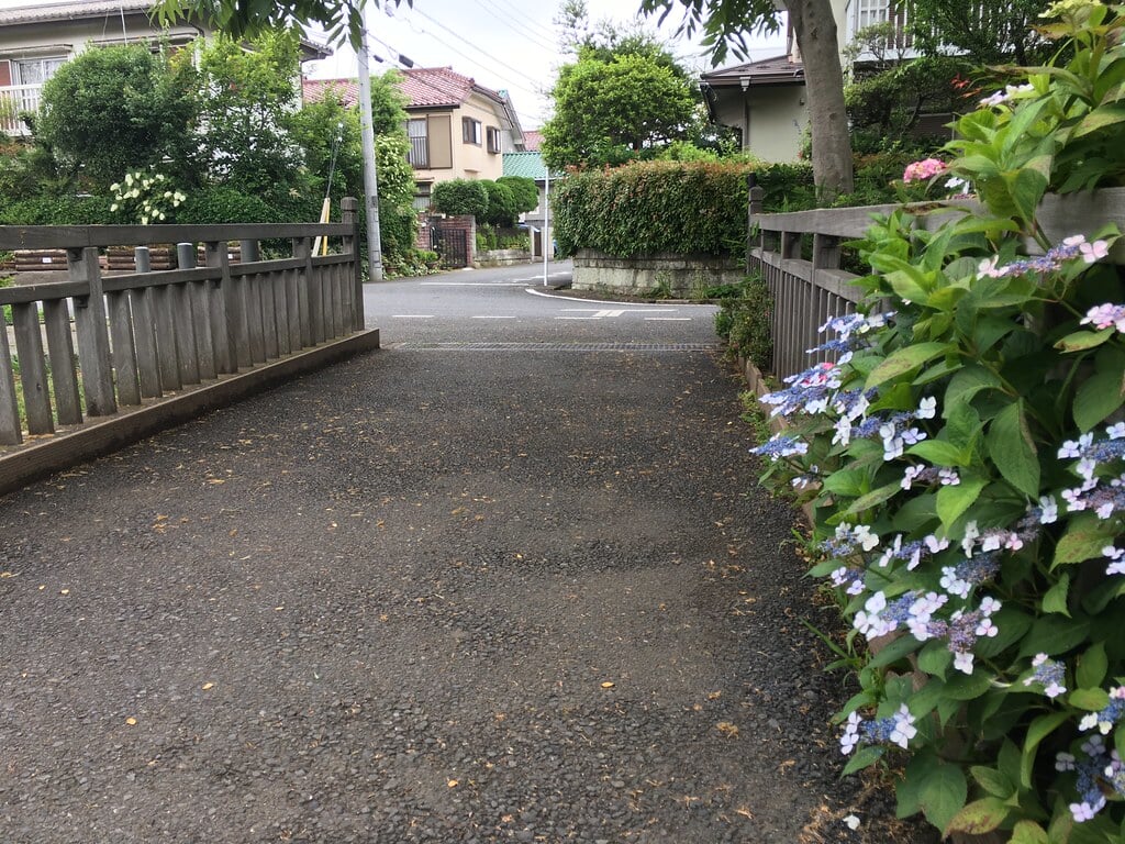 清瀬せせらぎ公園の写真10