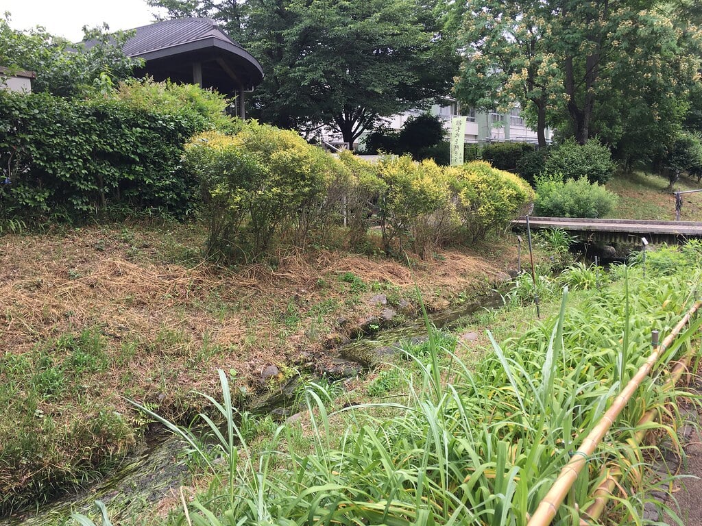 清瀬せせらぎ公園の写真12