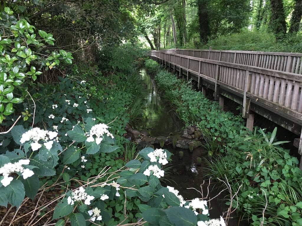 清瀬せせらぎ公園の写真13