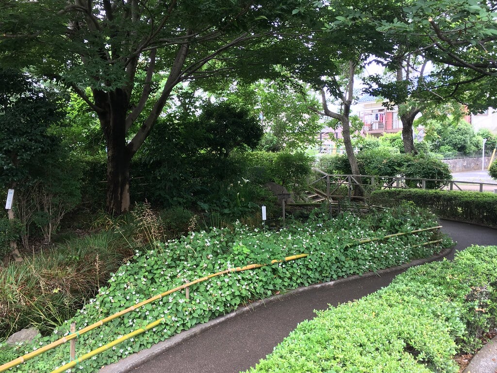清瀬せせらぎ公園の写真14