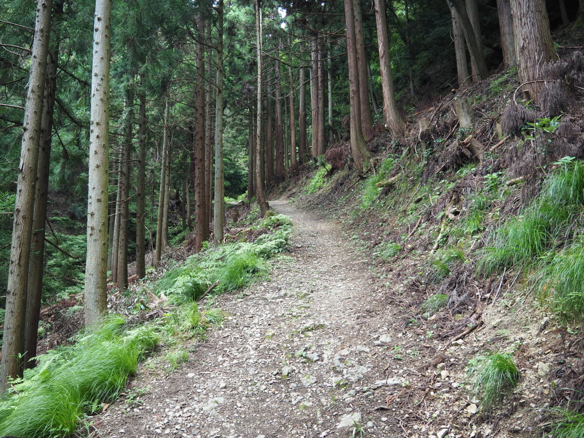 賤ヶ岳の写真12