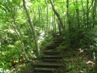 いせはら塔の山緑地公園