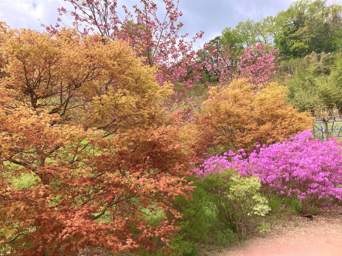 花郷OKADAの写真1