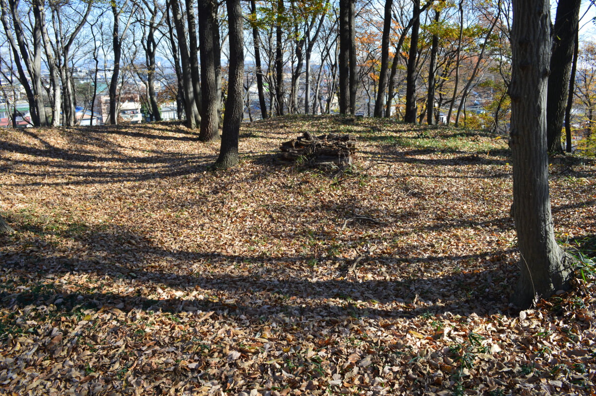 天神山古墳の写真2