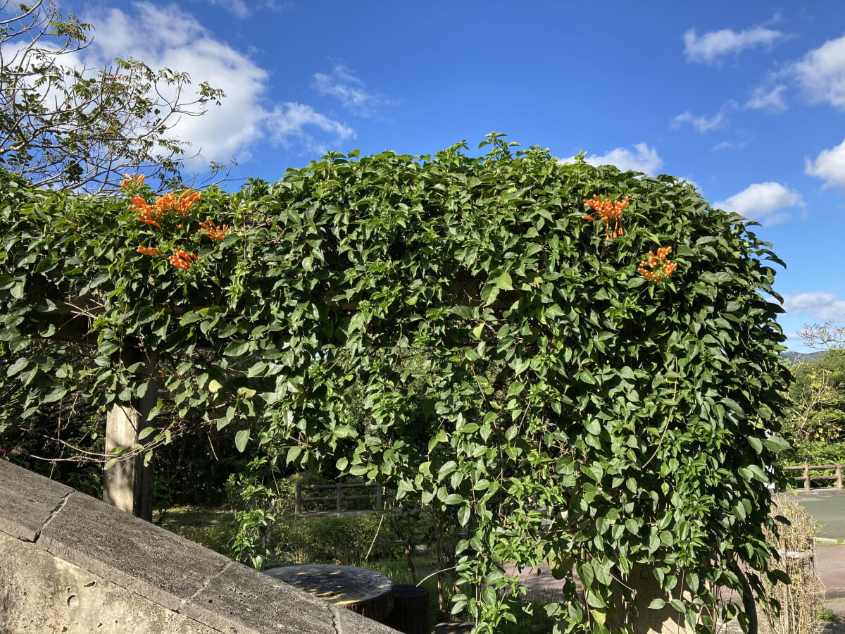 バンナ公園の写真7