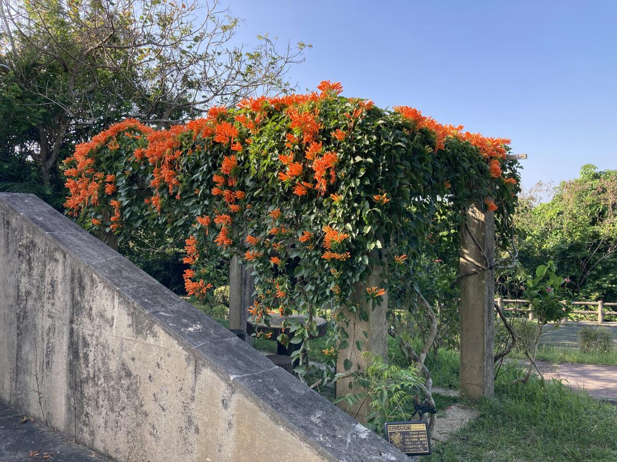 バンナ公園の写真1