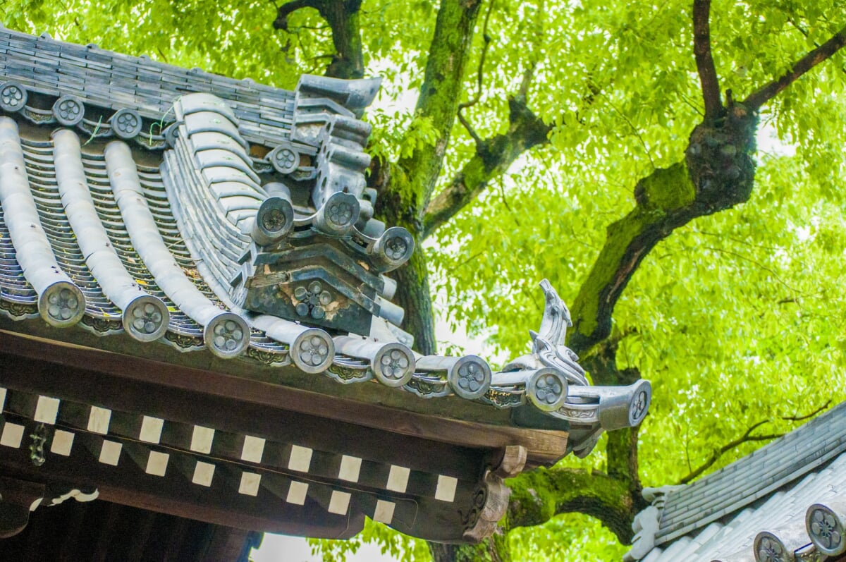 大阪天満宮の写真6