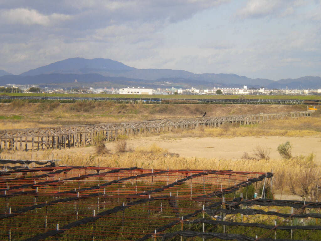 上津屋橋の写真2
