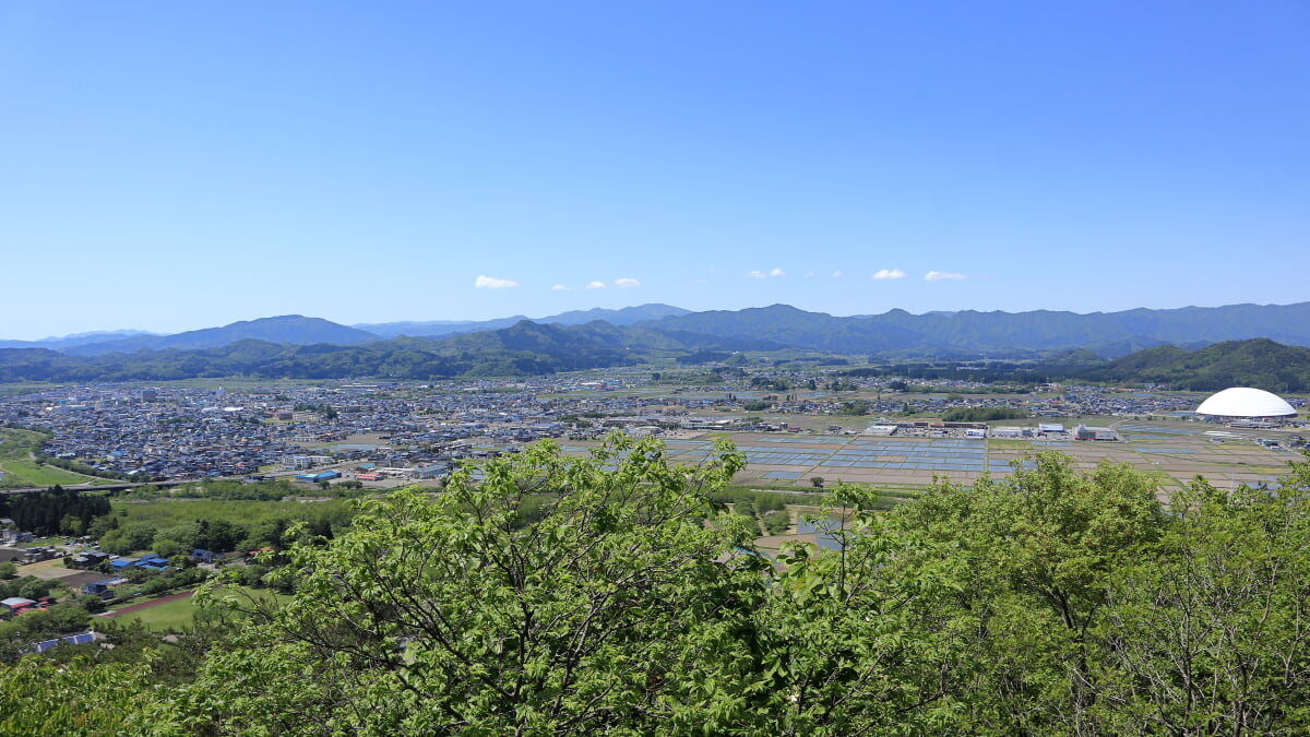 ニプロハチ公ドームの写真2