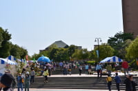 南大沢中郷公園