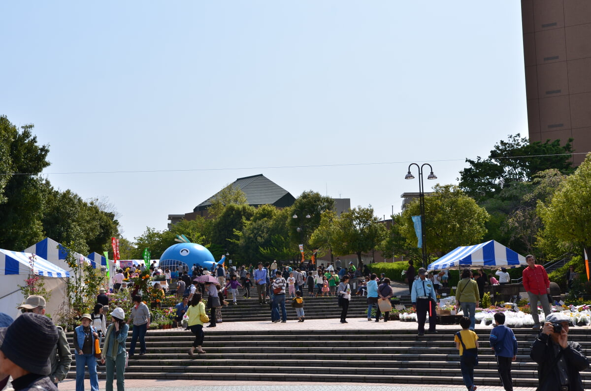 南大沢中郷公園の写真1