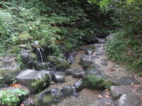 杜々の森名水公園