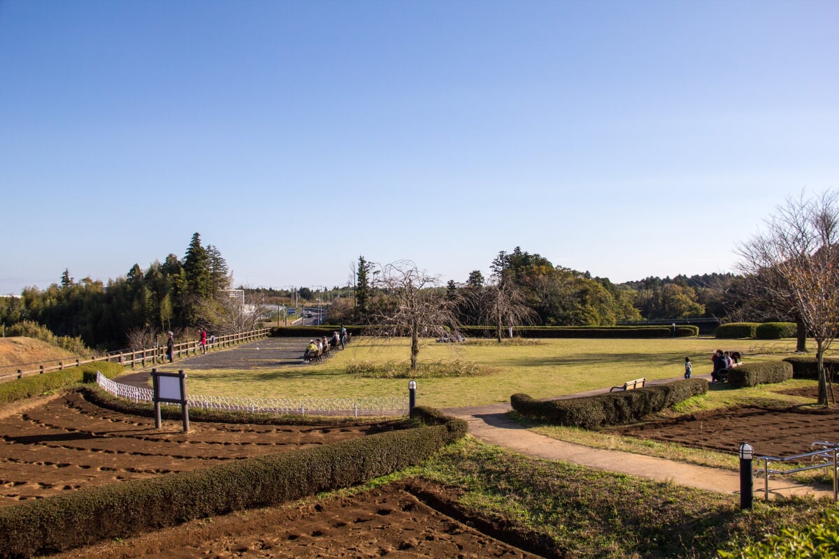 三里塚さくらの丘の写真2