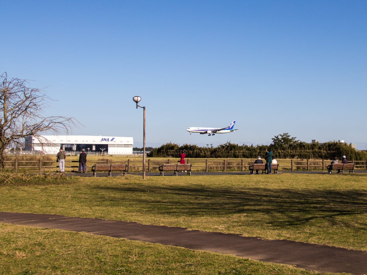 三里塚さくらの丘の写真3