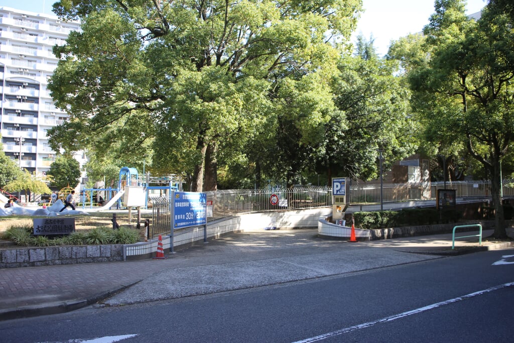 古沢公園の写真1