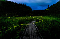 たきがしら湿原