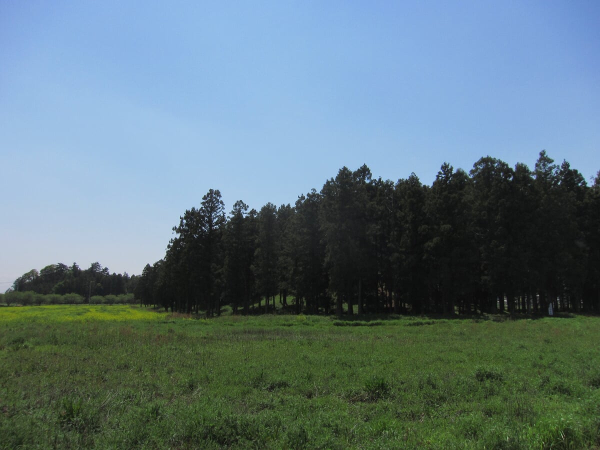 琵琶塚古墳の写真3