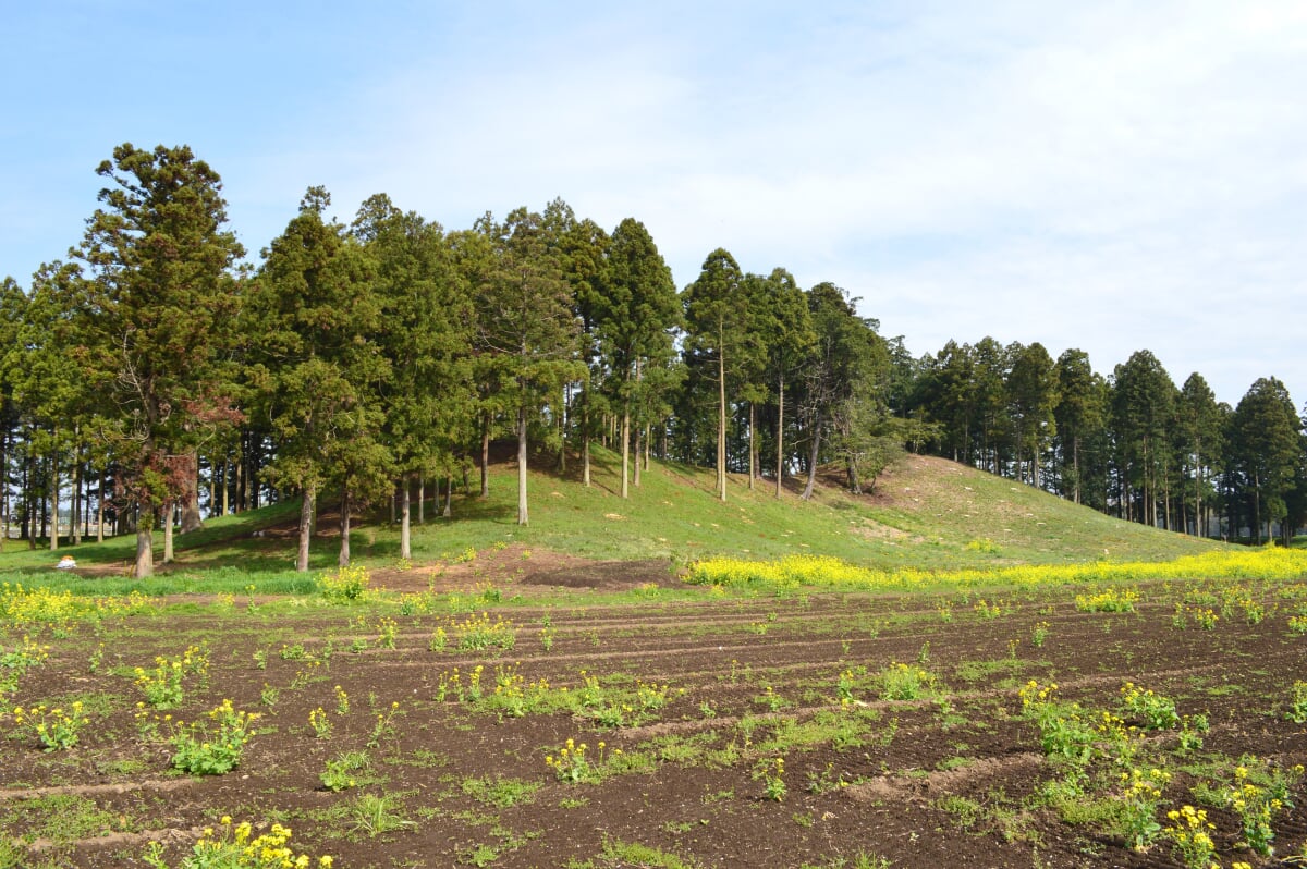 琵琶塚古墳の写真9