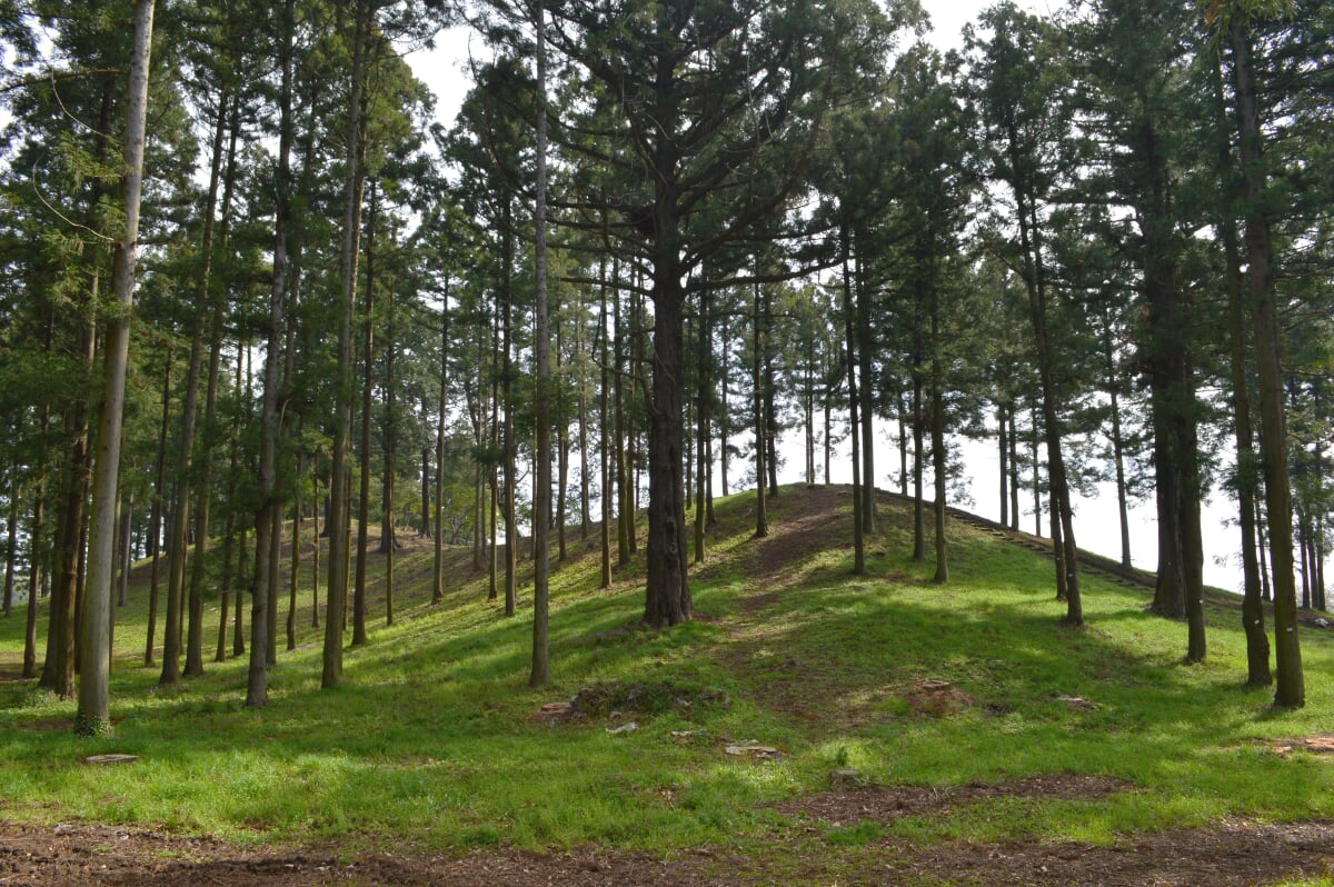 琵琶塚古墳の写真10